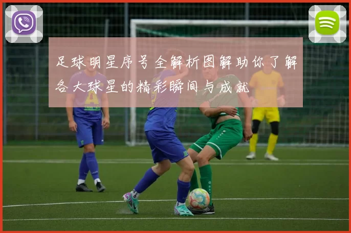 足球明星序号全解析图解助你了解各大球星的精彩瞬间与成就