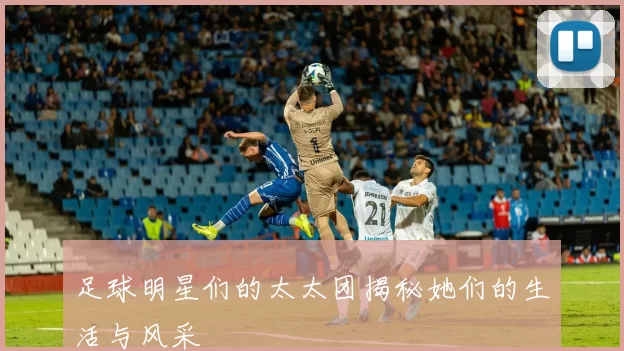 足球明星们的太太团揭秘她们的生活与风采